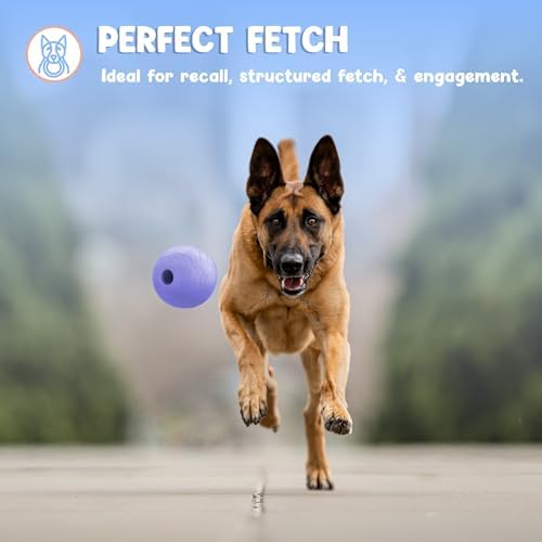 Foam Fetch Ball for Dogs – Durable EVA Foam Dog Ball, Interactive Chew Toy for Dogs, Lightweight Floating Ball for Water, Pool & Outdoor Fetch Games (Purple, Large)