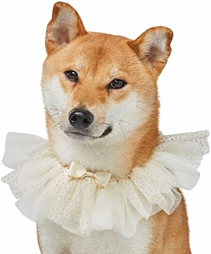 Blueberry Pet Dog of Honor Wedding Collar, Small, Elastic Breakaway Quick Release Dog Cat Collar with Embroidered Mesh and Bowtie
