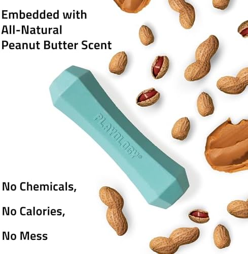 Playology Squeaky Chew Stick Scented Dog Toy - Medium, Peanut Butter Scent | Rubber Construction, All Natural Scent, Durable Design