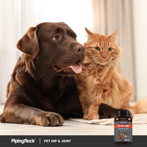Piping Rock Glucosamine for Dogs & Cats | 120 Chews
