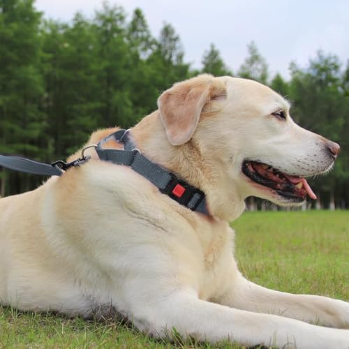 Joytale Martingale Collar for Dogs, Escape Proof No Pull, Gray, L