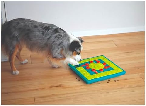 Interactive Dog and Cat Games Treat Hiding Challenge Mental Stimulation with Rewards (15 Inch Multi Puzzle Game)
