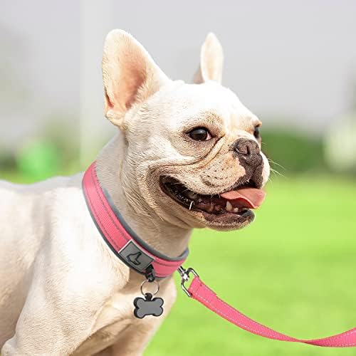 Joytale Reflective Dog Collar for Small Dogs with Wide Padding, Pink