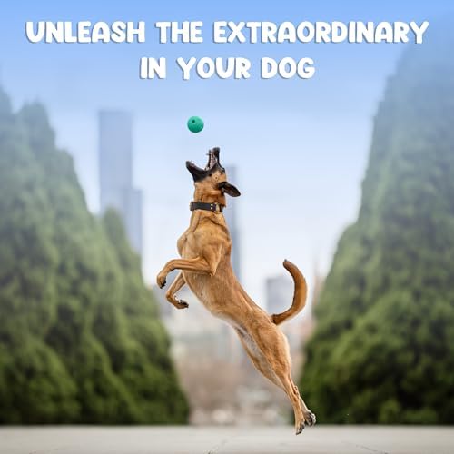 Foam Fetch Ball for Dogs – Durable EVA Foam Dog Ball, Interactive Chew Toy for Dogs, Lightweight Floating Ball for Water, Pool & Outdoor Fetch Games (Green, Large)