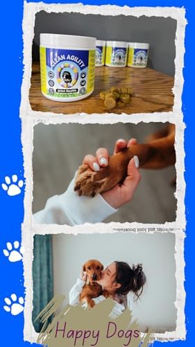 Joint Health for Dogs - Most Effective Hip and Joint Supplement Available - Formulated with Veterinarians, Glucosamine, Chondrointin, MSM, Turmeric (Soft Chew)