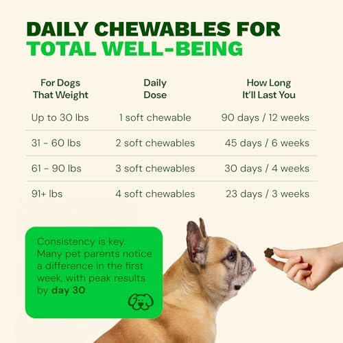 Get Joy Mobility Chew, Hip & Joint Supplement for Dogs, Vet Recommended Soft Daily Activity & Flexibility Support with Glucosamine, MSM & Green-Lipped Mussel, Made in USA, 90 Count
