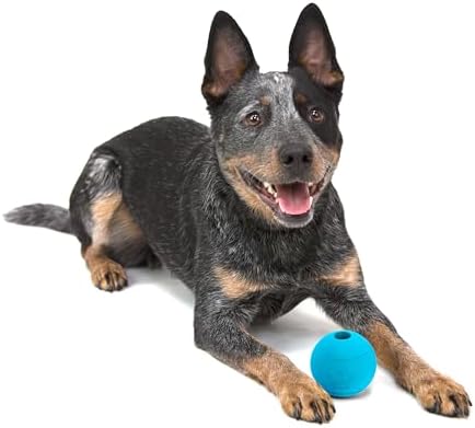 Chew King by Mammoth Glowing Fetch Ball, Dog Ball Toys, 2.5" Combo