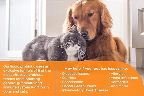 Humarian Probonix Liquid Probiotics for Cats - 8-Strain Cat Probiotic Drops to Fortify Feline Gut Health, Dental Health, Immunity and More - 30-Day Supply - Liver Flavor