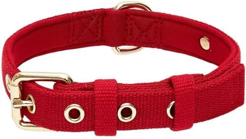 Blueberry Pet New Classic Modern Iconic Neoprene Padded Dog Collar Scarlet Red/Large