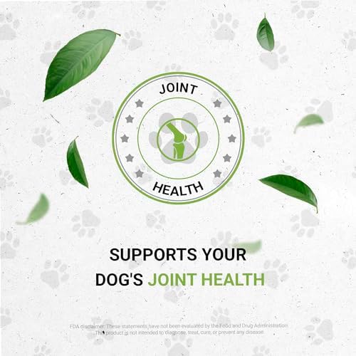 Wolf's Joints | Natural Herbal Dietary Supplement for Dogs | Healthy Joints Support in Dogs | Alcohol-Free Extract, Dandelion Root, Calendula, Chamomile, Lavender, Fennel 2 oz