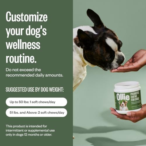 Ollie Belly Rubs Probiotic Dog Chews, Appx. 60 Count