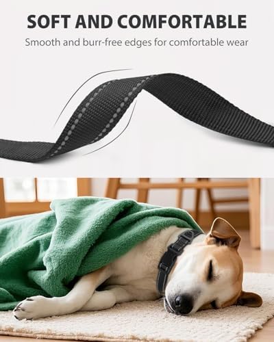 Joytale Feather-Light Dog Collar for Medium & Large Dogs, 1", Black