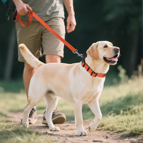 Joytale Reflective Dog Collar, Adjustable Neoprene Padded, Orange XL