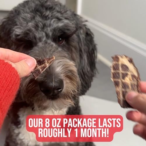 Doug's Dog Supplies Beef Jerky for Dogs - Single Ingredient, Grain-Free, High-Protein (8 Ounces, Beef)