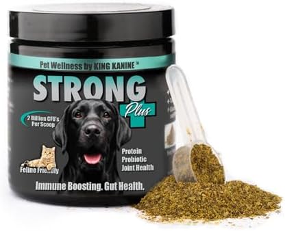 King Kanine Strong Plus Probiotic, Protein & Joints 6 oz | Organic Powder to Improve Join Mobility & Gut Health | Supplement for Dogs Care Made with Minerals & Vitamins | Veterinarian Approved