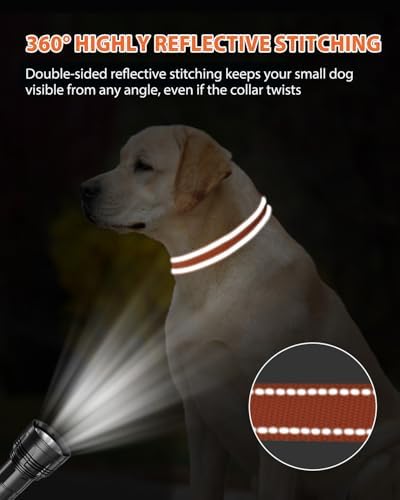 Joytale Feather-Light Dog Collar for Extra Large Dogs, 1 1/4", Orange