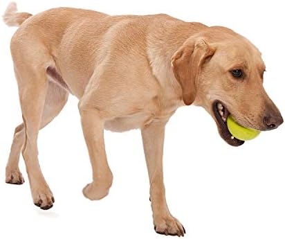WEST PAW Zogoflex Jive Ball Dog Chew Toy – Bouncing Toys for Dogs, Fetch, Catch, Chewing, Play – Floatable, Recyclable Balls – Latex-Free, Non-Toxic, Dishwasher Safe Dog Toy, Small 2.5", Aqua Blue