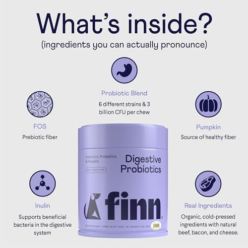 Finn Digestive Probiotics for Dogs - Pumpkin & Prebiotics - Beef - 90 Ct