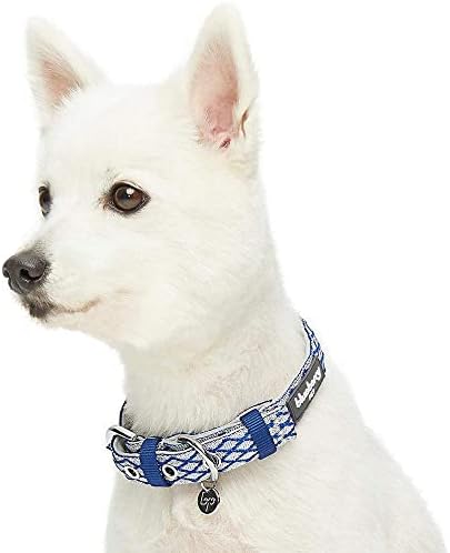 Blueberry Pet Diamond Pattern Adjustable Neoprene Padded Dog Collar with Metal Buckle - Royal Blue, Neck 13-16.5", for Medium Breed