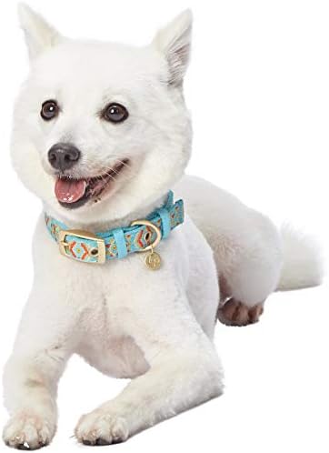 Blueberry Pet Southwestern Tribal Print Celeste Blue Adjustable Dog Collar with Metal Buckle, Neck 13-16.5", for Medium Breed