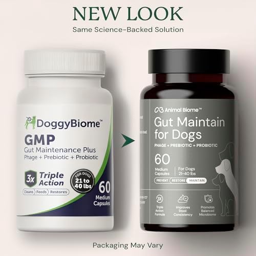 Animal Biome Large Dog Pre and Probiotics, S Boulardii, Gut Maintain, 60 Ct