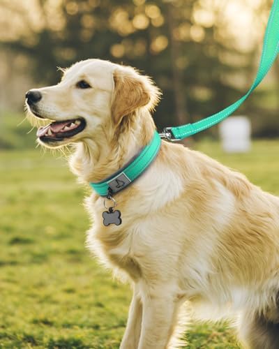 Joytale Reflective Dog Collar for Large Dogs with Wide Padding, Teal