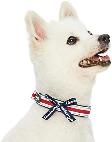 Blueberry Pet 4 Patterns Bon Voyage Sea Lover Adjustable Dog Collar in Horizontal Red Stripes, Neck 9-12.5", for Small Breed