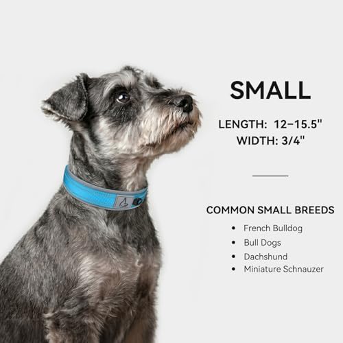 Joytale Reflective Dog Collar for Small Dogs with Wide Padding, Sky Blue