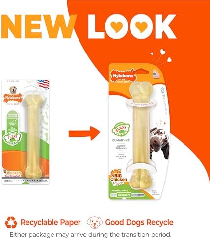 Nylabone Flexi Chew Gumabone Dog Chew Toy, Chicken Flavor, Large | Dogs toys for large dogs up to 50 lbs, flexible material, gentle on teeth, freezable, bouncy, great for seniors
