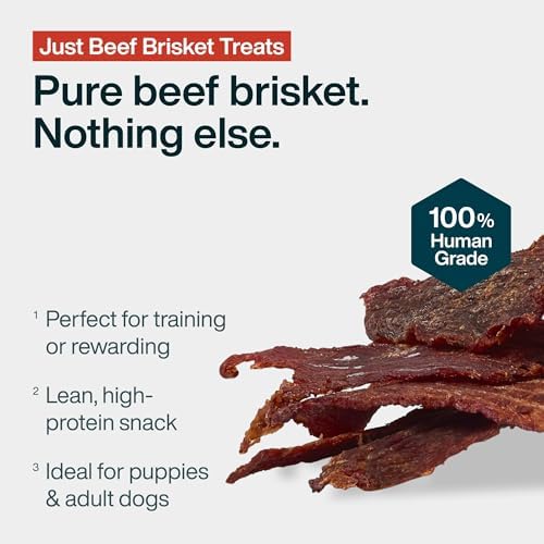 JustFoodForDogs Single Ingredient Jerky Dog Treats - Beef Brisket, 5oz