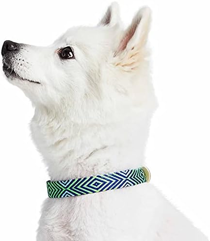 Blueberry Pet Southwestern Tribal Lozenges Stylish Green Adjustable Dog Collar with Metal Buckle, Neck 17-20.5", for Large Breed