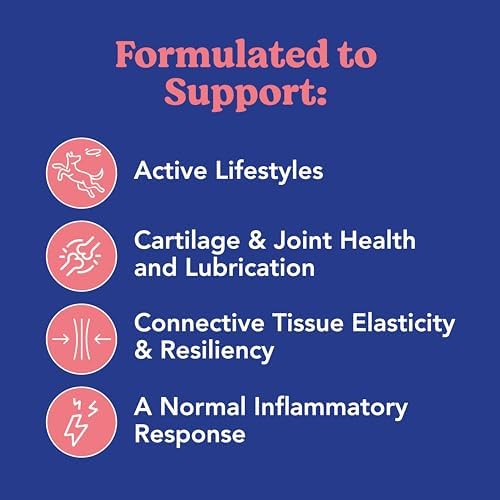 ANGELS' EYES Hip & Joint Mobility Collar for Dogs | Glucosamine, Chondroitin & MSM | 30 Days Continuous Joint Support | Supports Mobility, Cartilage & Aging Joints | Water Resistant | Medium/Large