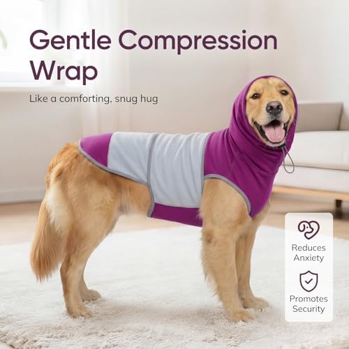 Dog Thunder Vest, Roma fabric, Purple
