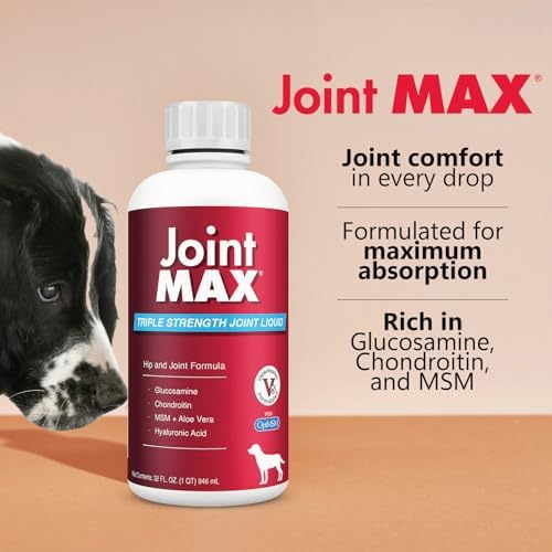 Liquid for Dogs – Glucosamine Chondroitin MSM Hip & Joint Supplement Liquid with Organic Turmeric – All-Natural Dog Joint Support Oil for Mobility, Arthritis, Skin & Coat – 32 fl oz