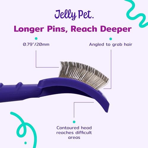 Jelly Pet Universal Slicker Brush for Dogs, Large, Purple