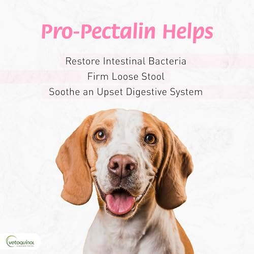 Vetoquinol Pro-Pectalin - Supports Digestive System & Stool Firmness for Dogs & Cats - Probiotic Supplement for Intestinal Support - For All Breeds - 30cc (Pack of 2)