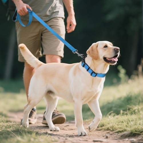 Joytale Reflective Dog Collar, Adjustable Neoprene Padded, Sky Blue XL