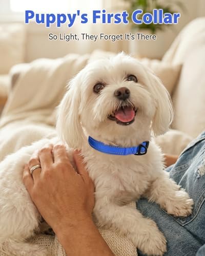 Joytale Feather-Light Dog Collar for Small Dogs & Puppies, 5/8", Navy Blue