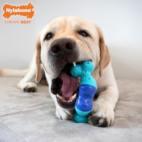 Nylabone Power Chew Twist 'N Chew Dog Toy, Bacon & Beef Jerky Flavor | Large, durable, enriches and entertains, twist for unique shapes, discourages destructive chewing, for dogs up to 50 lbs