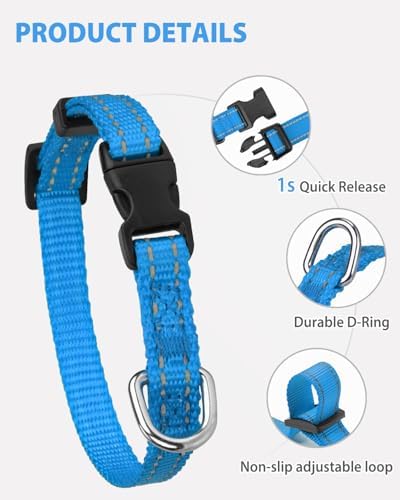 Joytale Feather-Light Puppy Collar for Extra Small Dogs, 3/8", Sky Blue