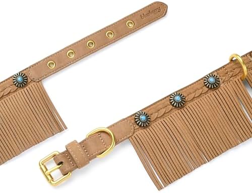 Blueberry Pet Silver-Powered Freshness Western Fringe Brown Microfiber Suede Collar with Turquoise Conchos