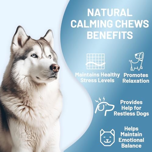 Noble Beast Dog Hemp Calming Chews, Melatonin, 120-Pack, 120 Count