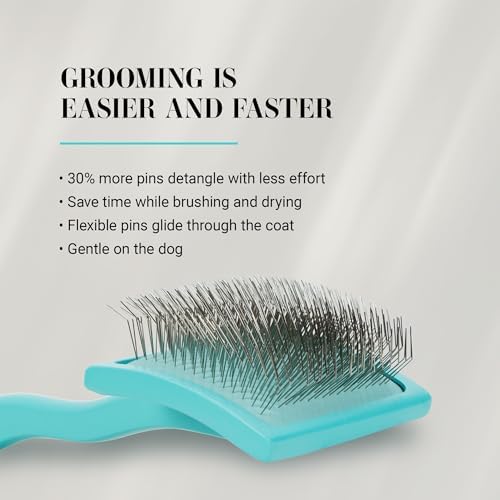 Chris Christensen Big G Dog Slicker Brush for Dogs (Goldendoodles, Large, Teal