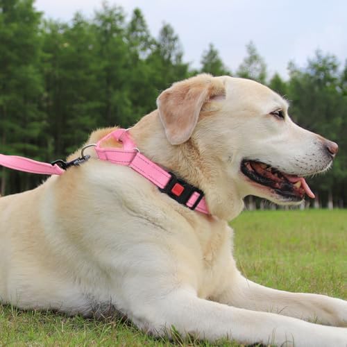 Joytale Martingale Collar for Dogs, Escape Proof No Pull, Pink, M