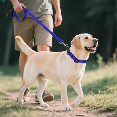 Joytale Reflective Dog Collar, Adjustable Neoprene Padded, Navy Blue XL