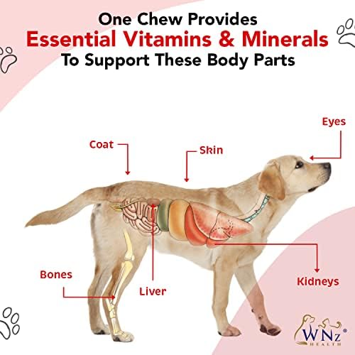 Dog Multivitamins and Supplements, Probiotics for Dogs w/Turmeric & Yucca, Probiotic Dog Chews for Brain Function, Gut & Immune Support, Joint Health & Anti-Inflammatory Supplement, 60 Chews, 8.4 oz