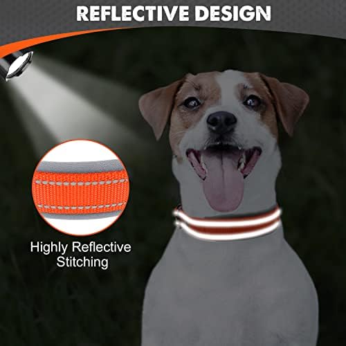 Joytale Reflective Dog Collar for Small Dogs with Wide Padding, Orange