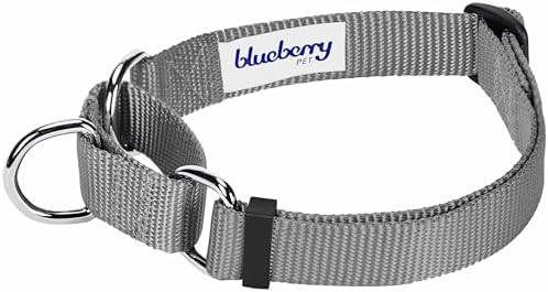 Blueberry Pet Essentials Matching Martingale Dog Collar and Leash Set in Flint Gray, Heavy Duty Nylon Adjustable Collars with 5 ft Leash for Small Dogs