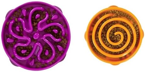 Outward Hound Fun Feeder Slo Bowl, Slow Feeder Dog Bowl, Large/Regular, Purple & Orange
