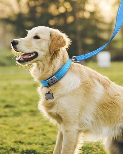 Joytale Reflective Dog Collar for Large Dogs with Wide Padding, Sky Blue